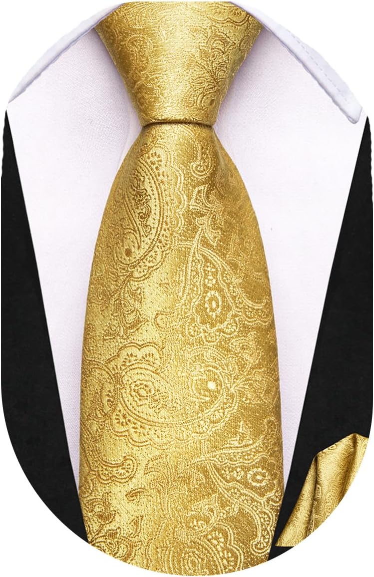 Dubulle Ties for Boys Self Tie Silk Paisely Striped Kids Necktie and Pocket Square Set for Age 8-11 - Image 1